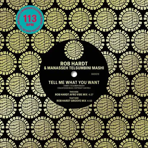 Hardt, Rob / Mashi, Manasseh Telsumbini Tell Me What You Want – 7-INCH SINGLE