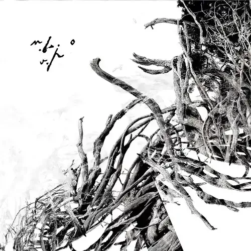 Negura Bunget – Virstele Pamintului Siren Records
