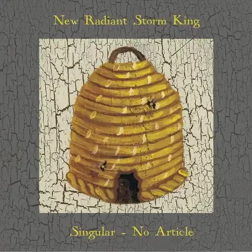 New Radiant Storm King – Singular No Article [Limited Edition] Siren Records