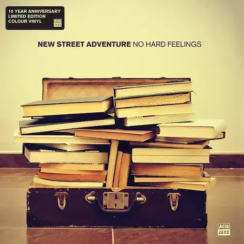 New Street Adventure No Hard Feelings – VINYL LP