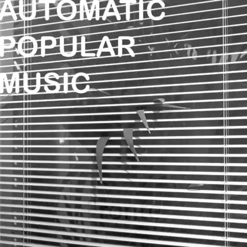 Nicola Ratti Automatic Popular Music – VINYL LP