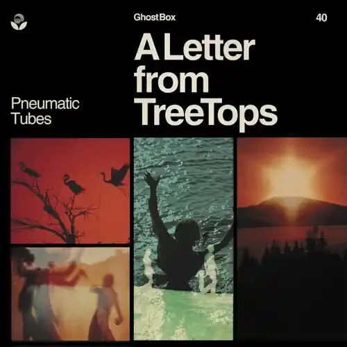 Pneumatic Tubes – Letter From Treetops (Can) Siren Records