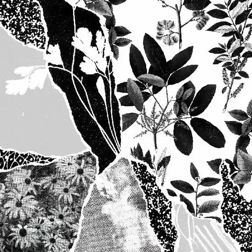 Ponctuation Mon Herbier Du Monde Entier – VINYL LP