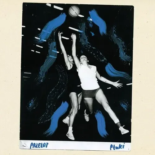 Ptaki Przelot – VINYL LP