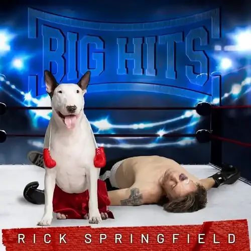 Rick Springfield Big Hits Rick Springfield‘s Greatest Hits, Vol. 2 – COMPACT DISCS