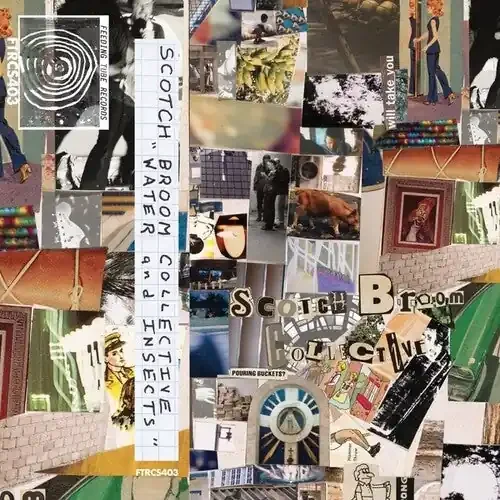 Scotch Broom Collective Insects And Water – CASSETTES
